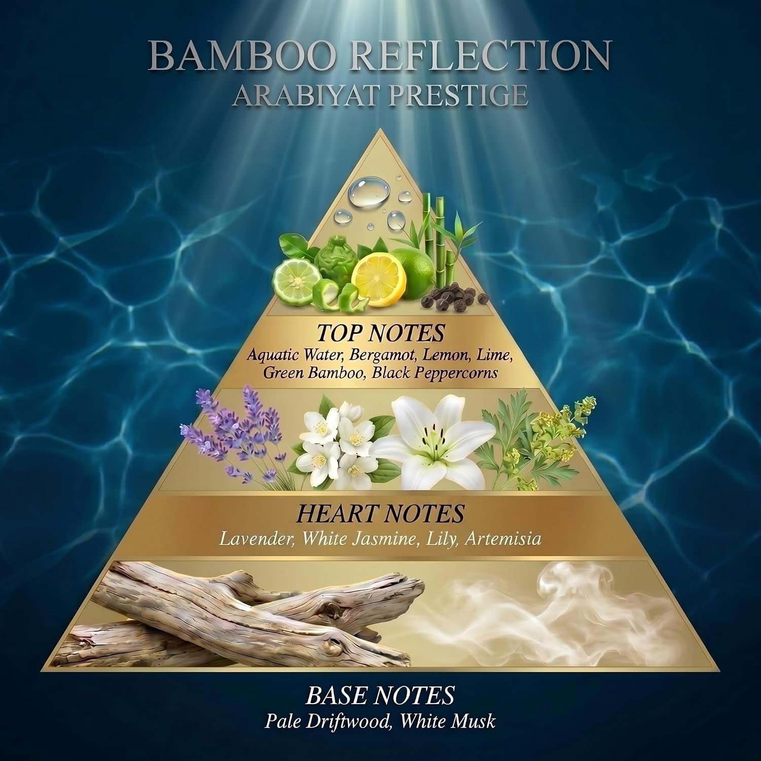 Bamboo Reflection Eau De Parfum for Men, Aromatic Aquatic Scent, 3.4 Fl Oz Spray